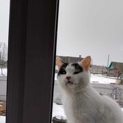  ,   , 28 ,     , c 