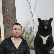 ���������� ������������, ���� ������� Akmai, 38 ���, ������������ ��� ������, ����� � ���������