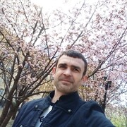 ���������� ���������, ���� ������� ����������, 44 ����, ������������ ��� ������