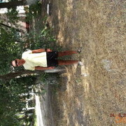  ,   , 62 ,   