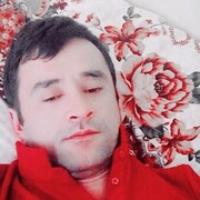 ���������� ������-��-����, ���� ������� ������, 37 ���, ������������ ��� ������, ����� � ���������