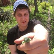 ���������� ���, ���� ������� �������, 31 ���, ������������ ��� ������, ����� � ���������, c�������� ���������, ���������