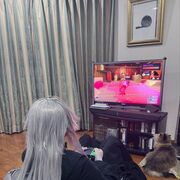 ���������� ������, ���� ������� ������, 48 ���, ������������ 