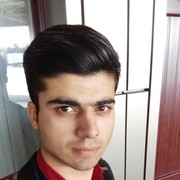  ,   Elik, 31 ,     , c 