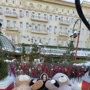 ���������� ������, ���� ������� ����������, 23 ����, ������������ ��� ������, ����� � ���������, c�������� ���������, ���������