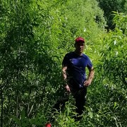  ,   , 53 ,   