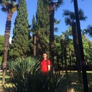 ���������� ������, ���� ������� ����, 38 ���, ������������ ��� ������