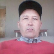 ���������� ����, ���� ������� �����, 44 ����, ������������ ��� ������, ����� � ���������, c�������� ���������, ���������