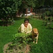 ���������� �����������, ���� ������� ���������, 60 ���, ������������ ��� ����� � ���������, ���������