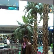  ,   , 49 ,   