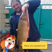 ���������� ���������, ���� ������� ����, 46 ���, ������������ ��� ������, ����� � ���������, c�������� ���������