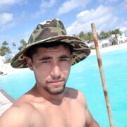  ,   Timur, 30 ,   ,   , c 