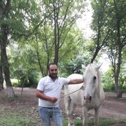 ���������� ��������, ���� ������� ������, 37 ���, ������������ ��� ������, ����� � ���������