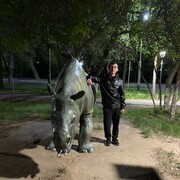 ���������� ��������, ���� ������� ������, 26 ���, ������������ ��� ������, ����� � ���������, ���������