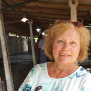 ����������