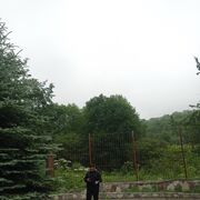 ���������� ����, ���� ������� Ibrahim, 34 ����, ������������ ��� ������, ����� � ���������, ���������