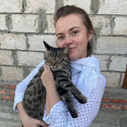 ���������� ����������, ���� ������� ����� �����, 31 ���, ������������ ��� ������, ����� � ���������