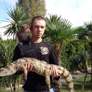  ,   , 38 ,   