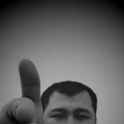 ���������� �������, ���� ������� BEK 5683382, 41 ���, ������������ ��� ������, ����� � ���������, c�������� ���������, ���������