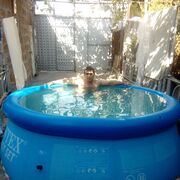  ,   Artur, 37 ,   ,   