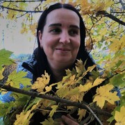  ,   , 49 ,   