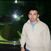 ���������� �������, ���� ������� ��������, 41 ���, ������������ ��� ������, ����� � ���������, c�������� ���������