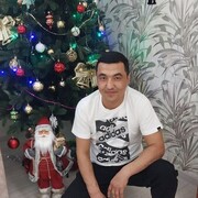 ,   Nosim, 37 ,   ,   