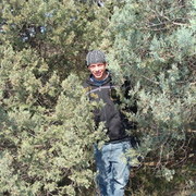 ���������� �����������, ���� ������� ������, 41 ���, ������������ ��� ������