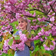  Kassel,   , 45 ,   c 