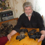  ,   , 65 ,   