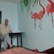  -,   , 51 ,   ,   