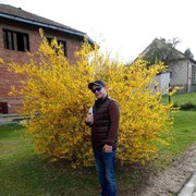  ,   , 42 ,   ,   , c 