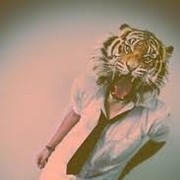 ���������� ���������, ���� ������� ���������, 34 ����, ������������ ��� ������