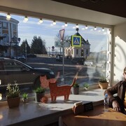 ���������� ������, ���� ������� ����, 37 ���, ������������ ��� ������, ����� � ���������