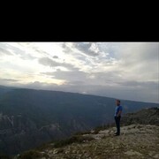 ���������� ������, ���� ������� ��������, 38 ���, ������������ ��� ������, ����� � ���������, ���������