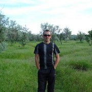  ,   , 41 ,  