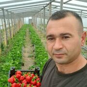 ���������� ������, ���� ������� ����, 35 ���, ������������ ��� ������, ����� � ���������