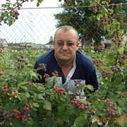 ���������� ������-�������, ������� ����, 47