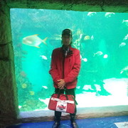  ,   , 67 ,   ,   , c 