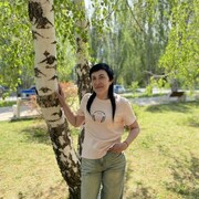  ,   , 52 ,   ,   