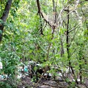 ���������� ����, ���� ������� ����, 37 ���, ������������ ��� ������, ����� � ���������, c�������� ���������, ���������