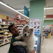 ���������� ����, ���� ������� ������, 29 ���, ������������ ��� ������, ����� � ���������, c�������� ���������