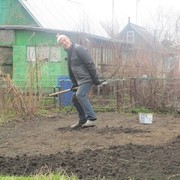 ���������� �����������, ���� ������� �������, 46 ���, ������������ 