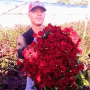  ,   Vovka, 35 ,   ,   , c , 
