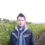  Hochheim am Main,   , 31 ,   c 