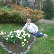 ���������� �����, ���� ������� �������, 66 ���, ������������ ��� ������, ����� � ���������, c�������� ���������, ���������