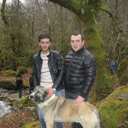 ���������� �������, ���� ������� Mishka, 35 ���, ������������ ��� ������