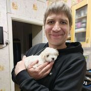 ���������� �����, ���� ������� �������, 35 ���, ������������ ��� ������, ����� � ���������, c�������� ���������