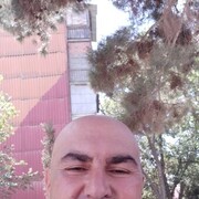  ,   Fox, 48 ,   ,   , c 