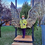 ���������� �����������, ���� ������� ����, 54 ����, ������������ ��� c�������� ���������